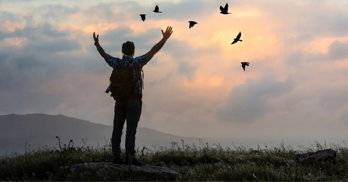 desapego e liberdade