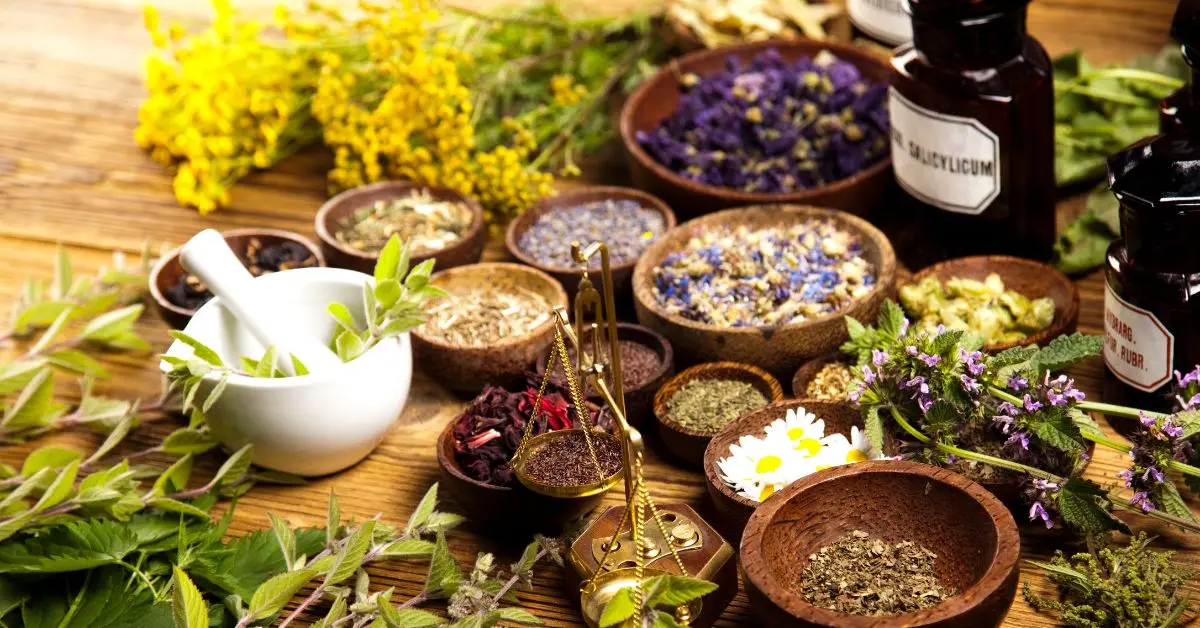 ervas medicinais